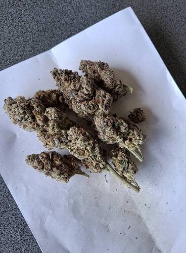 Growreport Bild 6