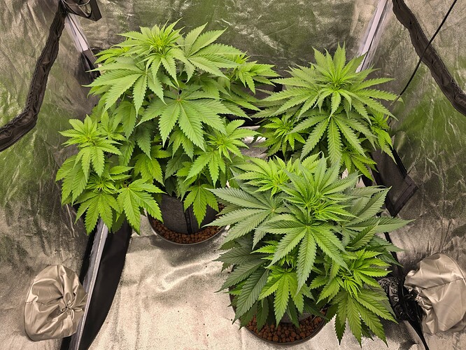 Growreport Bild 3