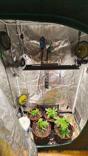 Growreport Bild 4