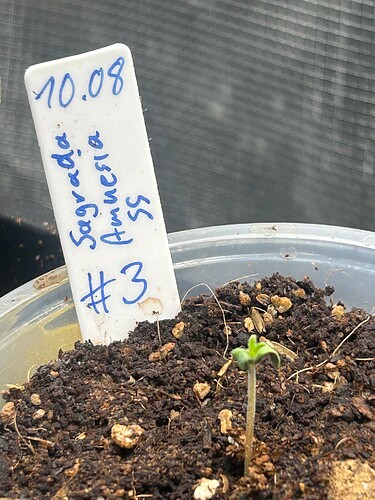 Growreport Bild 2
