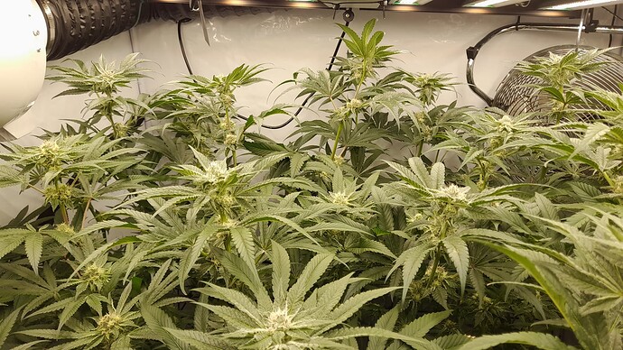 Growreport Bild 13