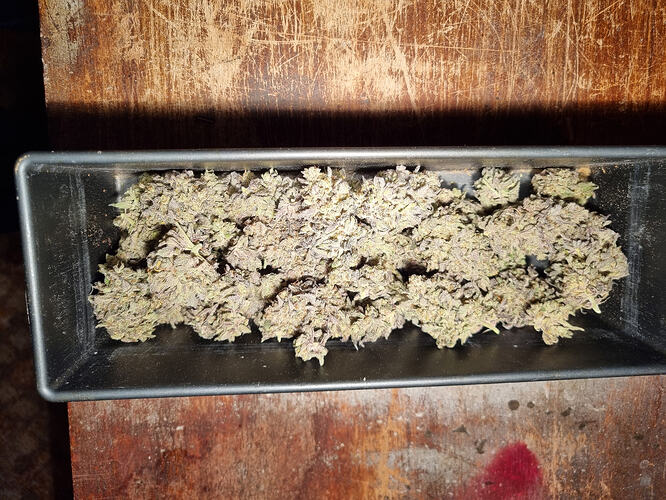 Getrocknete Cannabis-Buds in einer rechteckigen Metallform, die auf einer Holzoberfläche steht.
