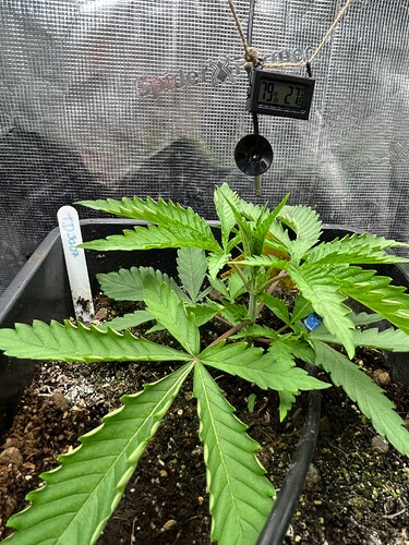 Growreport Bild 12