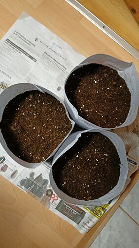 Growreport Bild 11