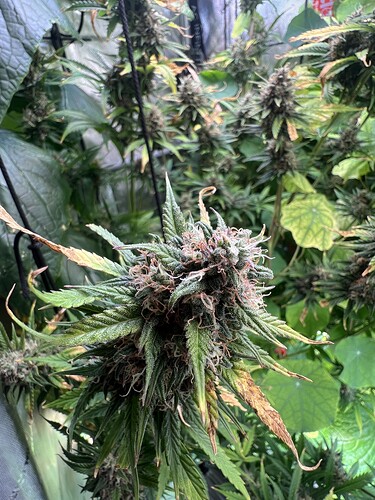 Growreport Bild 10