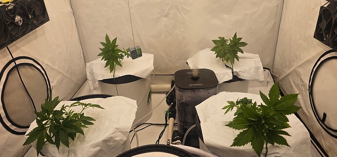 Growreport Bild 36