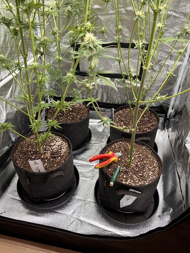 Growreport Bild 11