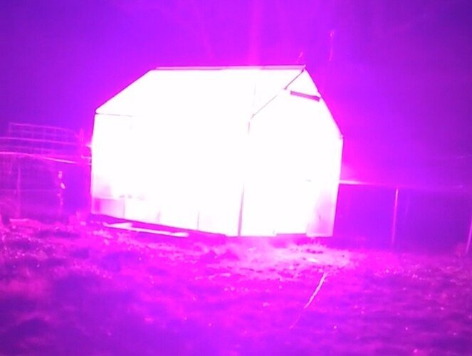 Screenshot_20240420_224343_Gallery