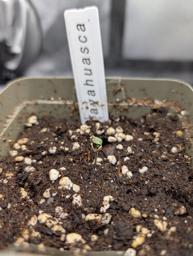 Growreport Bild 11