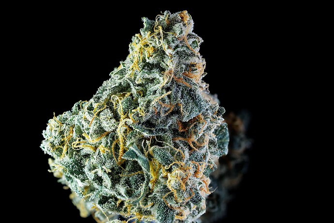Growreport Bild 12