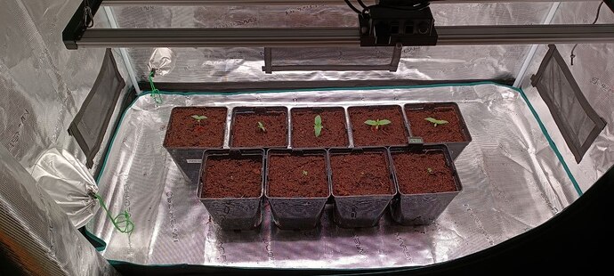 photo_2026-04-01_18-57-37