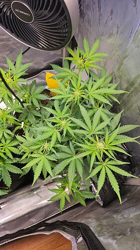 Growreport Bild 25