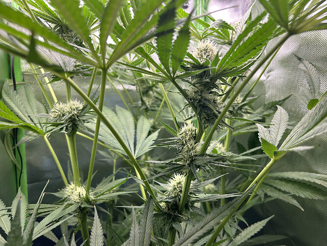 Growreport Bild 2