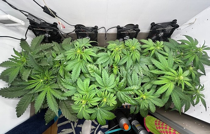 Growreport Bild 23