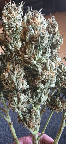 Growreport Bild 47