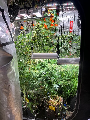 Growreport Bild 11