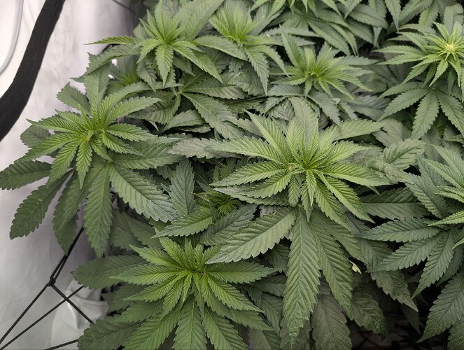 photo_2025-11-17_17-50-52