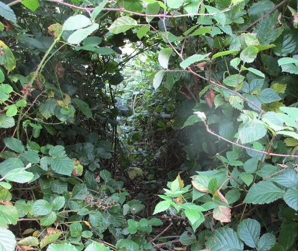 tunnel
