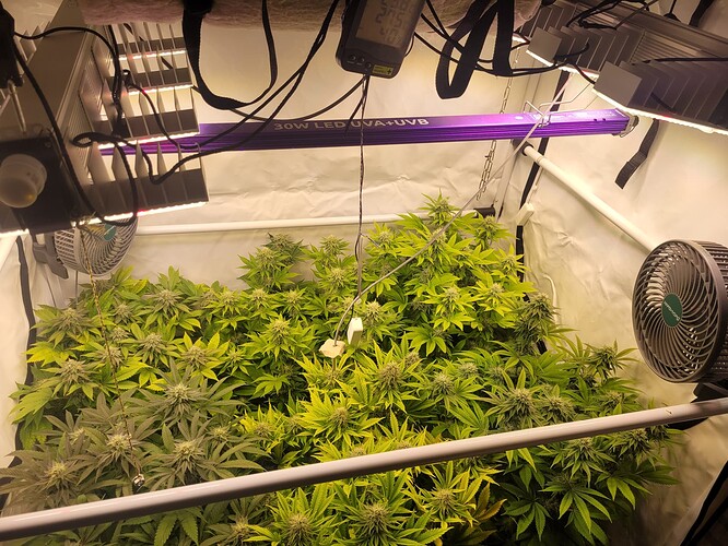 17079197258328568409365328921619