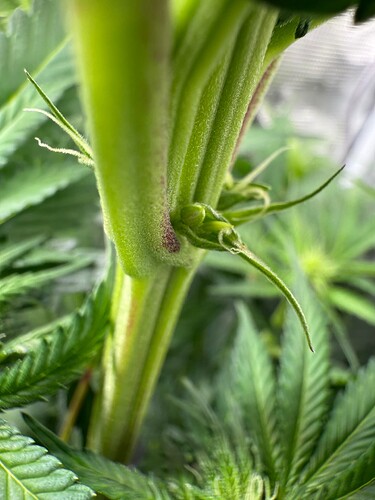 Growreport Bild 2