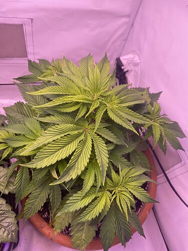 Growreport Bild 2