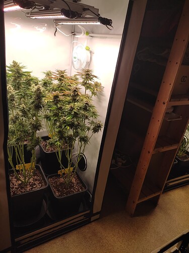 Growreport Bild 13