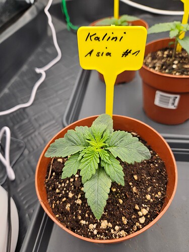 Growreport Bild 7