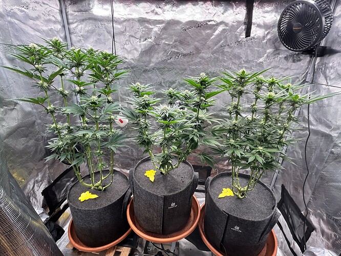 Growreport Bild 1