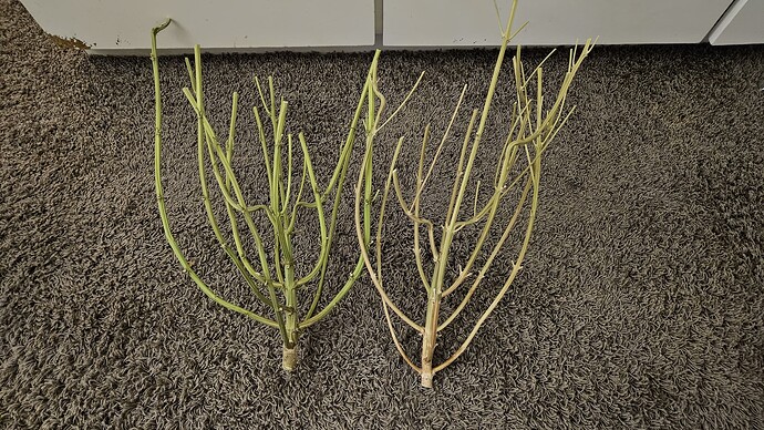 Growreport Bild 5
