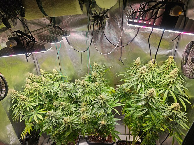 Growreport Bild 13