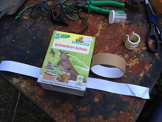 Growreport Bild 1