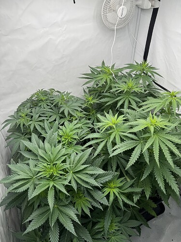Growreport Bild 10