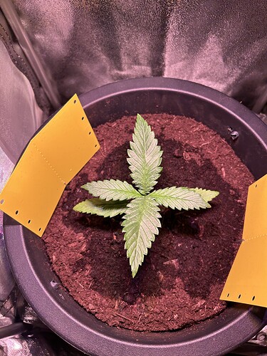Growreport Bild 2