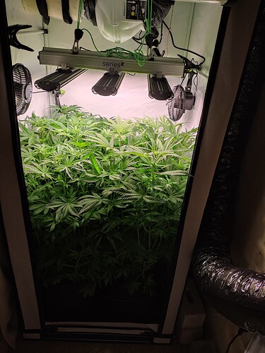 Growreport Bild 2