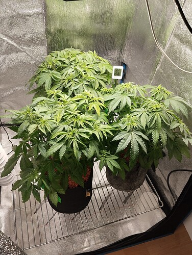Growreport Bild 15