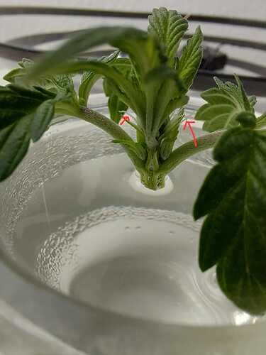 WhatsApp Image 2024-05-06 at 18.01.06 (1)