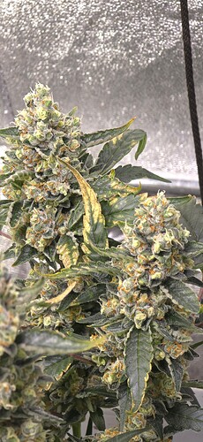 Growreport Bild 10
