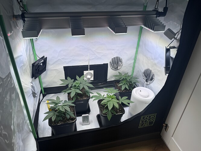 Growreport Bild 8