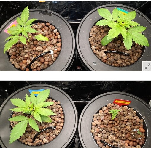 Growreport Bild 10