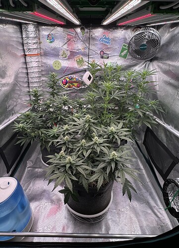 Growreport Bild 26