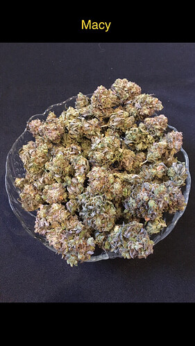 Growreport Bild 3