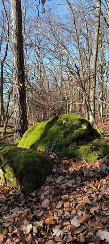 Growreport Bild 9