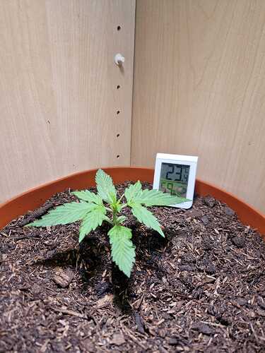 WhatsApp Image 2024-04-29 at 11.00.40 (1)