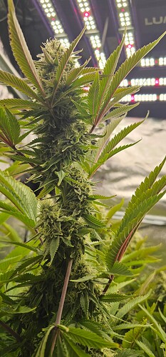 Growreport Bild 11