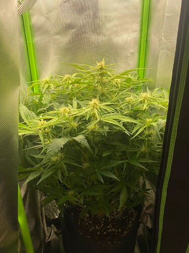 WhatsApp Bild 2024-05-07 um 18.51.47_d2e591b2