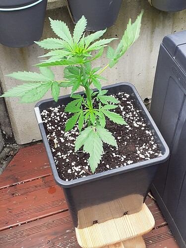 Growreport Bild 24