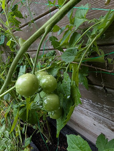 Growreport Bild 13