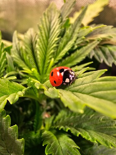 Growreport Bild 18