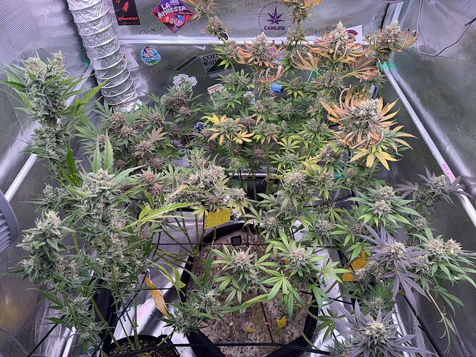 Growreport Bild 28