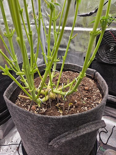 Growreport Bild 8